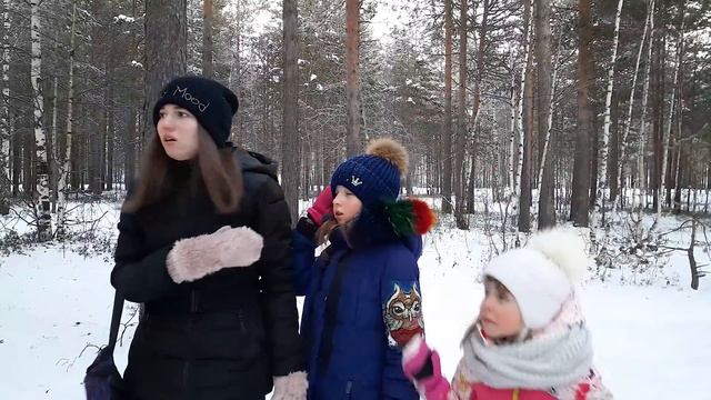 СИРЕНОГОЛОВЫЙ в лесу