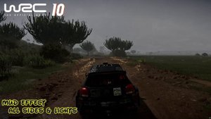 WRC 10 vs Dirt Rally 2.0 - Detailed Comparison