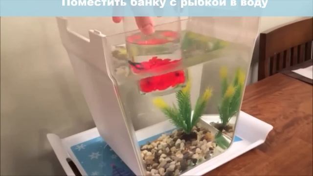 Акваферма.Подробная инструкция.Часть 2