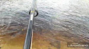 Щука 10.200 Амурская рыбалка. Река Бурея. Талакан. Владимир на Бурее.