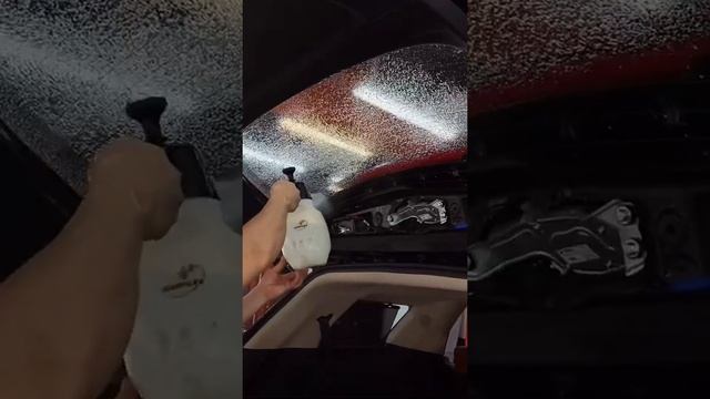 Тонирование Kia Carnival|#детейлинг #тонировка смотреть онлайн