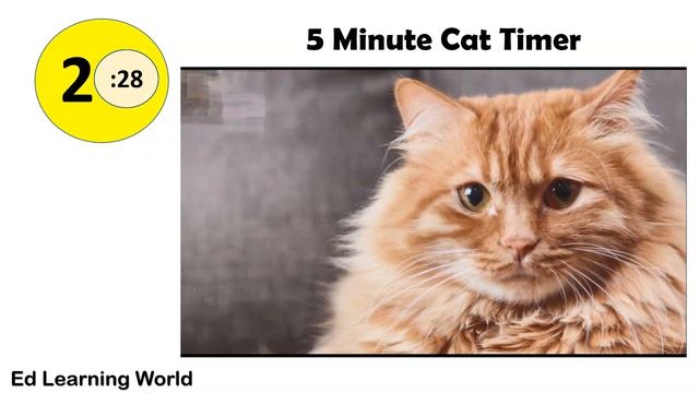 5 Minute Timer Featuring Cats - Fun Animal Timers