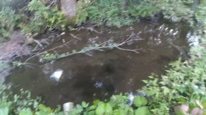 ЛОВЛЯ РЫБЫ НА ЛОВУШКИ  ИЗ БУТЫЛОК!!! ОЧЕНЬ МНОГО ЖИВЦА !