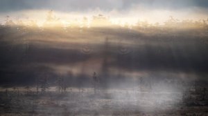 СЦЕНА 5 Panorama