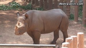 Зоопарк на Шри Ланке | Достопримечательности Коломбо