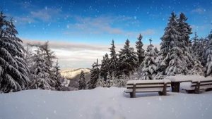 Красота Волшебных Зимних Мелодий и Невероятные Зимние пейзажи!