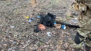 Разбитая позиция ВСУ в Кременском лесу.