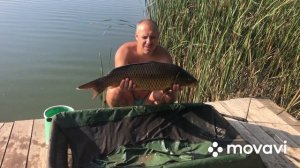 Карпфишинг РСК Павловский 5 сектор