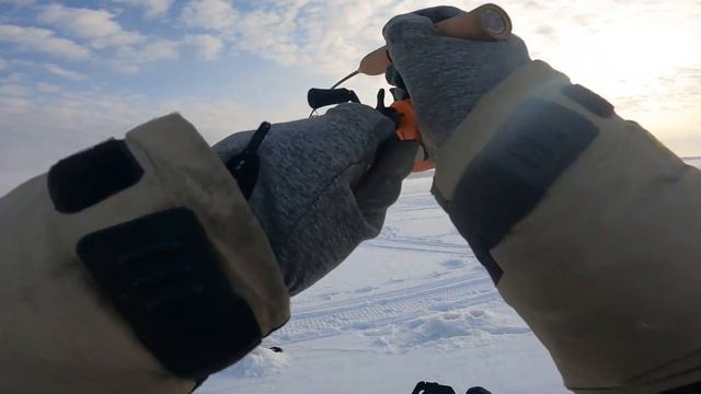 Судак на коряжнике смотреть онлайн