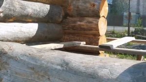 Сруб бани из Сухостойной сосны Kelo на Волгу. Произведён полный монтаж сруба.