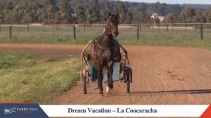 1 Dream Vacation – La Coocaracha 1