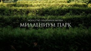 Гармония с природой в поселке Миллениум Парк