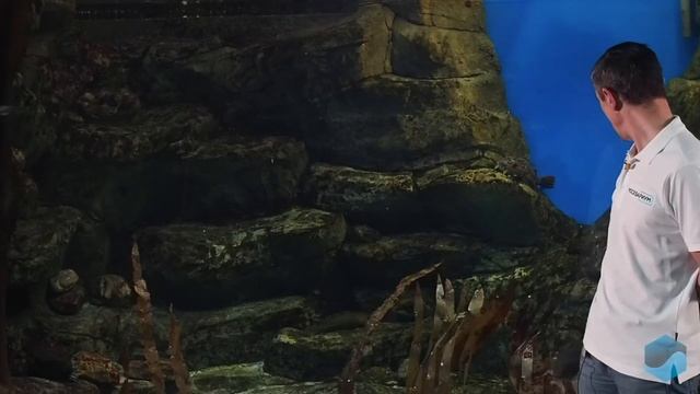 #Москвастобой — Японское море