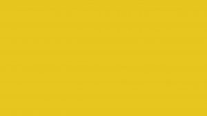 Тест равномерности засветки, цветопередачи и битых пикселей телевизор монитор Macbeth ColorChecker.