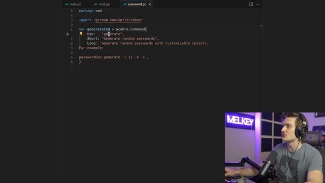 This Makes Golang CLI Development So MUCH Better