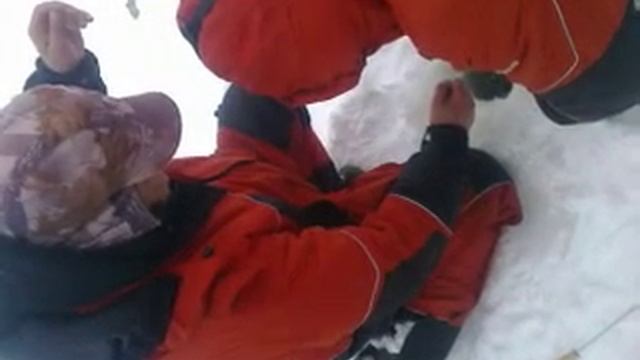 Видео смотреть онлайн