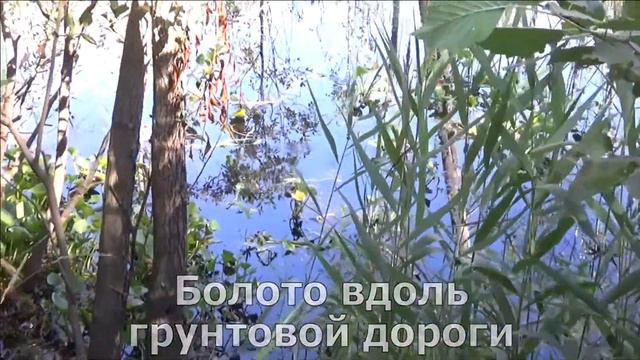 Онежская кругосветка. Лето - 2018. День 5. Шуньга. Толвуя. Типиницы. Тамбицы. Космозеро.