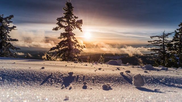 Beautiful Phalaenopsis Orchid: Japanese-style music of ephemeral and beautiful piano and strings смотреть онлайн