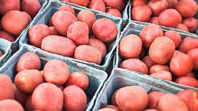 Картофель Семенной Сорта Купить смотреть онлайн