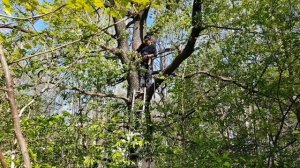 КАКОЙ УЛЕЙ ЛУЧШЕ? СПРОСИМ У ПЧЕЛ!