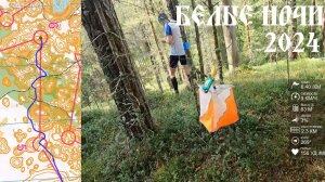 Спортивное ориентирование (headcam orienteering) - Белые Ночи 2024, Воробьёво озеро, день 2 - 29.06