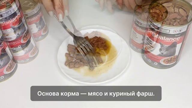 Секрет восполнения энергии для активных кошек