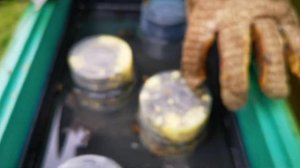 Как работает кормушка вкладыш улей ППУ Нижегородец