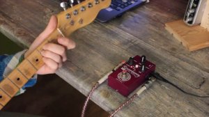 RY-1 Reverberry by AMT