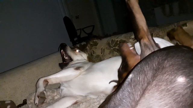 Ночные забавы смотреть онлайн