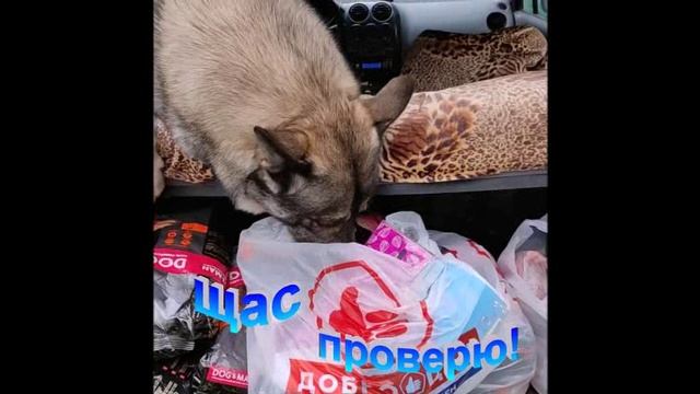 проверка
