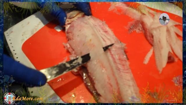 Тала из сига. Вкусная речная рыба рецепт от Petr de Cril’on