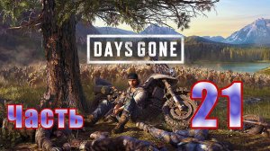 Days Gone (Жизнь после) - на ПК ➤ Прохождение # 21 - ч.1 ➤