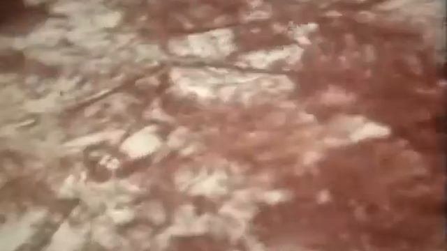 ВОДИТЕЛЬ.ХРОНИКА СССР