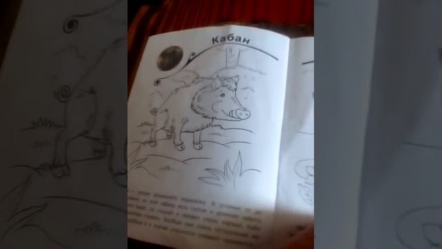 Какие животные живут в деревне смотреть онлайн