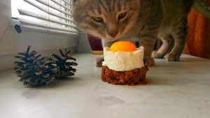 Башня для кота
