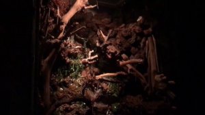 Палюдариум с водопадом, акватеррариум, хардскейп