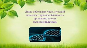 Подготовка к ОГЭ. Биология 9 класс. Наследственная изменчивость.
