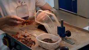 Как обрабатывают янтарь!