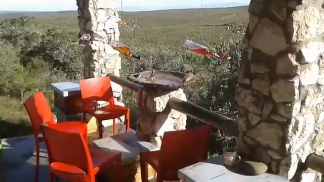 Sugarbird house смотреть онлайн