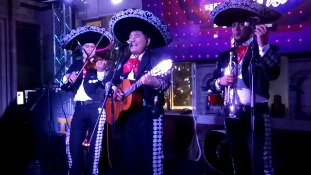Мексиканская группа Mariachi Mexico. смотреть онлайн