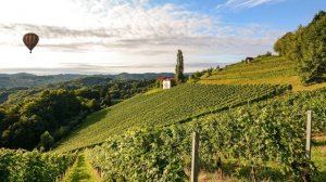 Удивительный Cabernet Franc Каберне Фран