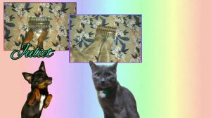 Canon Frère Jacques/ Are you sleeping?/ Братец Якоб -Kalimba