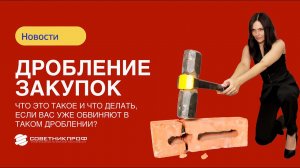 Дробление закупок по 44 Закону. Что это такое и что делать, если вас уже обвиняют в таком дроблении