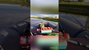 Рыбалка.р.Тобол.Ловля щуки на блесну.Тюмень