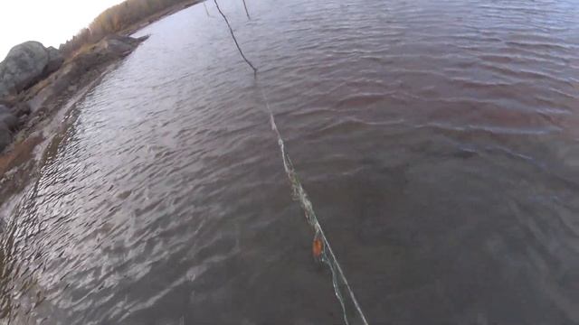 Сгинувшая Звёздная лаборатория!Раковина Камбалы!11 смотреть онлайн