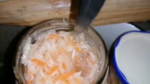 Полная инструкция квашения капусты