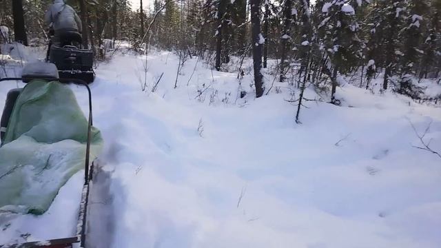 ПРОВЕРКА КАПКАНОВ НА БУРАНЕ  ПО СИБИРСКИМ ПРОСТОРАМ...