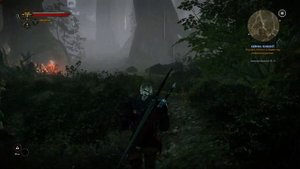 Ведьмак 2. Глава 1. Часть 18. Растение тенекост. Эликсир Мангуст.