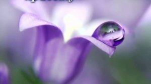 11.Красота Иисуса святись во мне..mp4