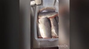 Горбуша холодного копчения .